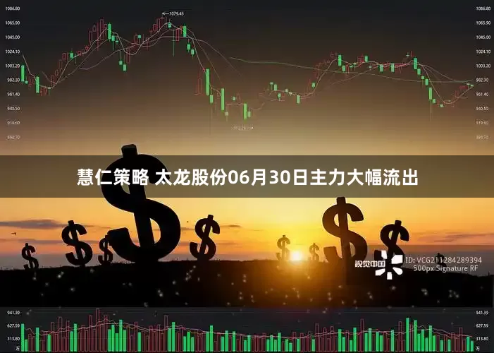 慧仁策略 太龙股份06月30日主力大幅流出