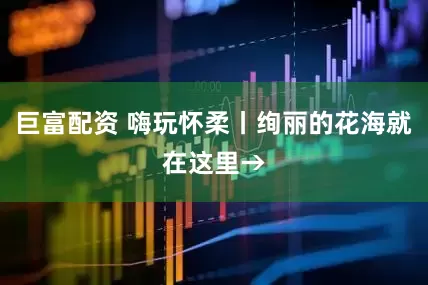 巨富配资 嗨玩怀柔丨绚丽的花海就在这里→