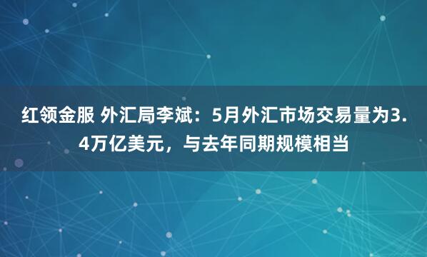 红领金服 外汇局李斌：5月外汇市场交易量为3.4万亿美元，与去年同期规模相当